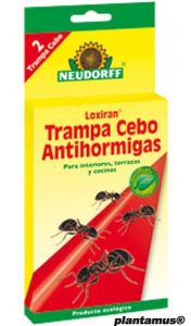 cebo-mata-hormiga