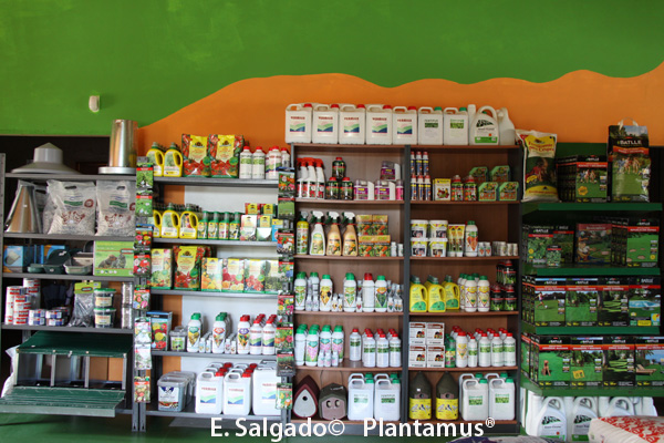 Para ti el Regalo de siete euros en nuestro garden online