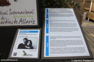 cen-arquitectos-allariz