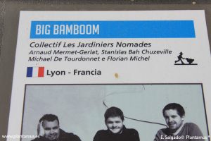 big-bamboom