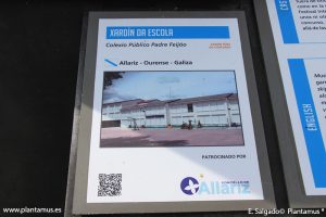 xardin-colexio-padre-feijoo