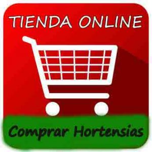 Comprar hortensias