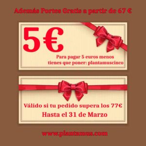 Comprar plantas baratas con descuento en plantamus