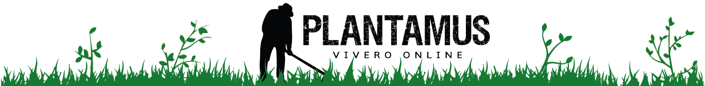 Plantamus