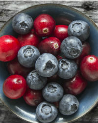 Propiedades del arándano, vas a querer plantar frutos del bosque.