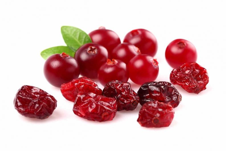 propiedades del arandano rojo