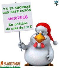 comprar plantas baratas en plantamus