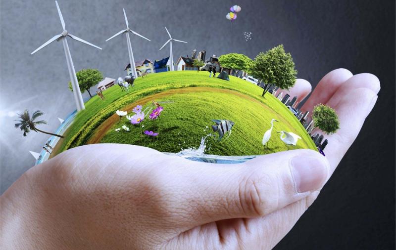 Alimentos ecológicos. Mira por tu salud y la de los tuyos.