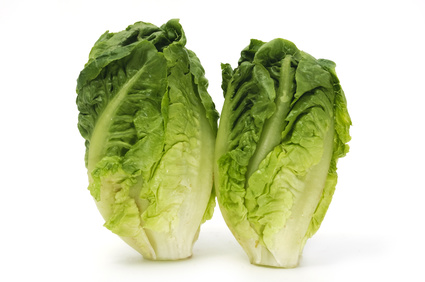 lechuga cogollos