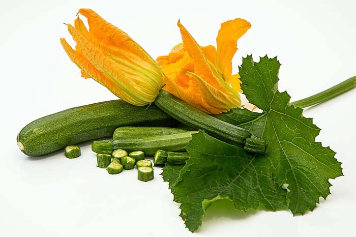 calabacines en el calendario de siembra en la huerta en Febrero