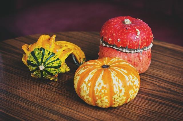calabaza en el calendario de siembra en marzo