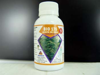 La Mosca blanca. ¡Conócela y elimínala! Plantamus® te echa una mano