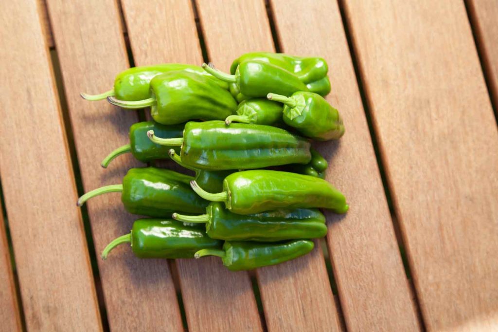 pimiento de padron de galicia