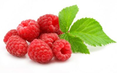 Propiedades de la Frambuesa. Frutos del bosque.