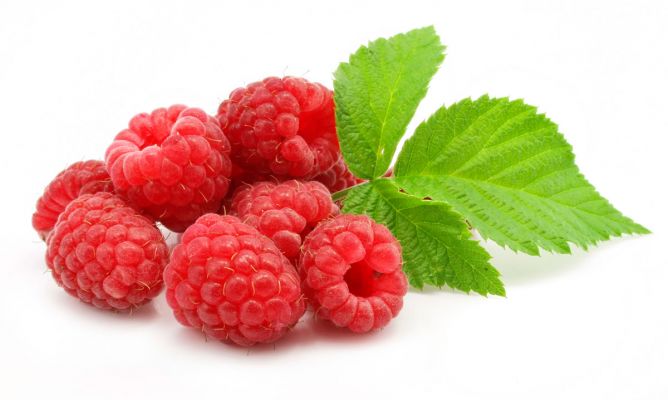 Propiedades de la Frambuesa. Frutos del bosque.