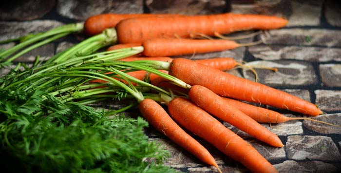 sembrar en Agosto zanahorias