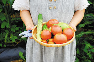 Cultivos compatibles al plantar tomates