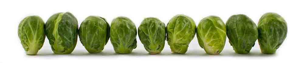 coles de bruselas frutos