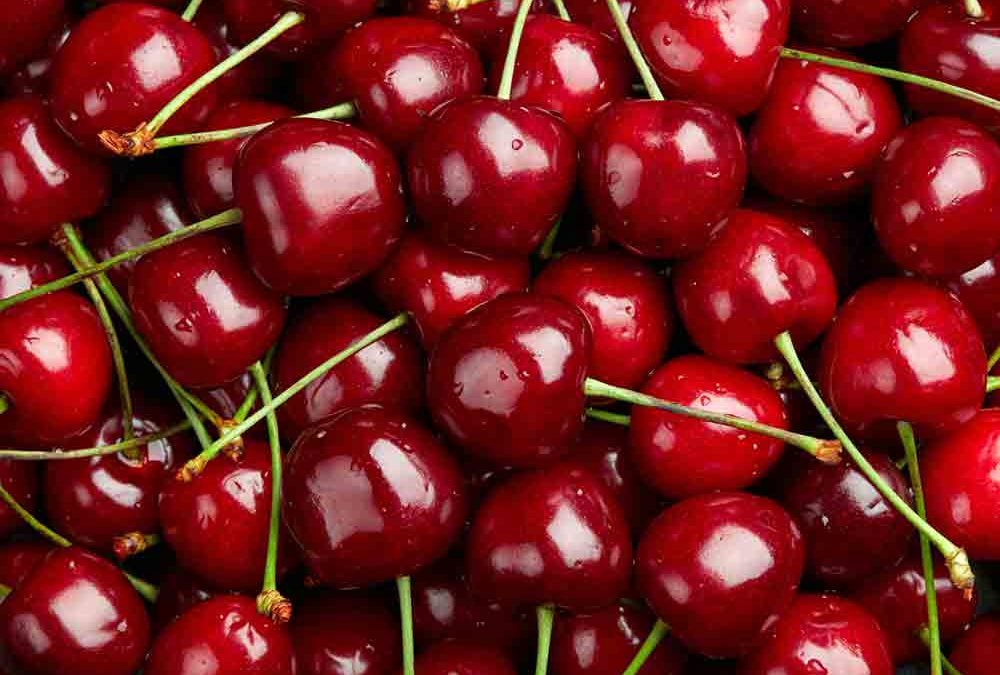 Enfermedades del cerezo
