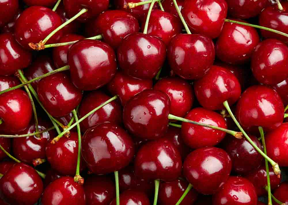 enfermedades de las cerezas