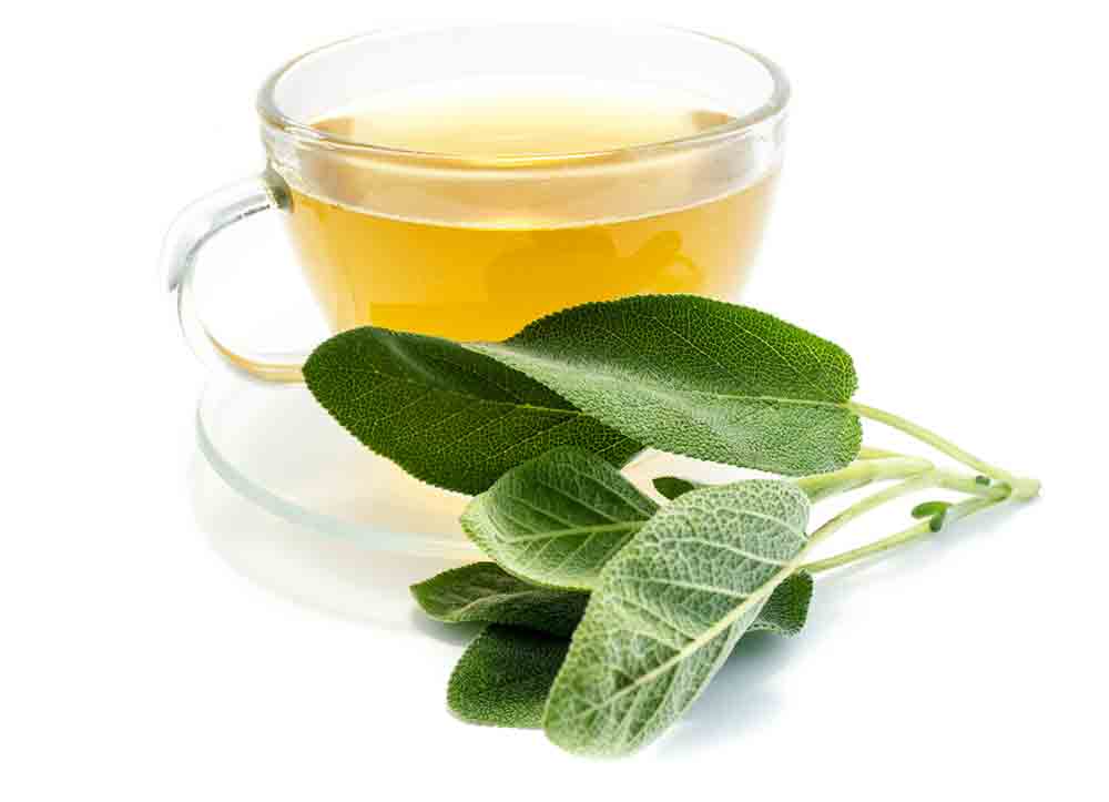 salvia propiedades y contraindicaciones de las infusiones