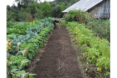 Cultivos de otoño, labores a realizar