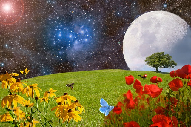Calendario lunar de siembra. Labores a realizar en tu huerto en las diferentes fases lunares