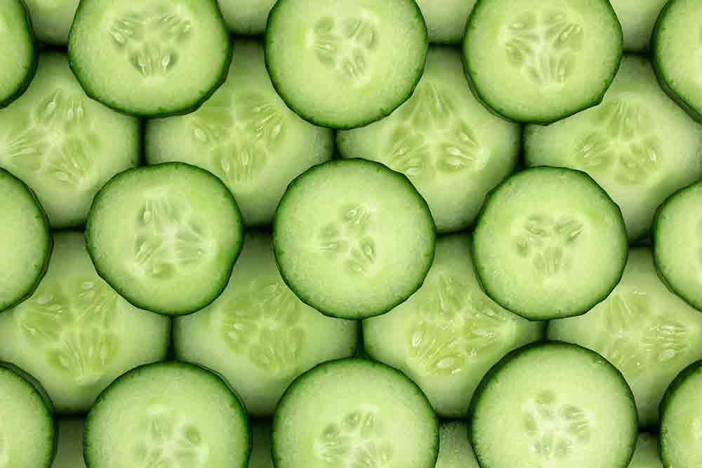 pepino para ensaladas
