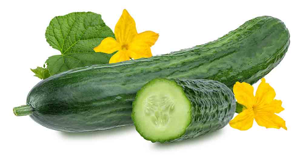 propiedades del pepino nutricionales