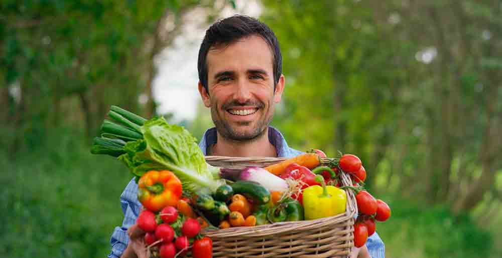 Elementos básicos que necesitan las plantas para vivir