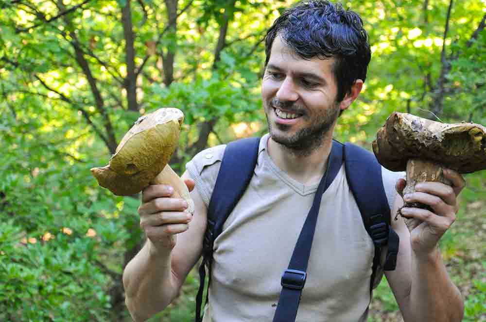 sembrar boletus