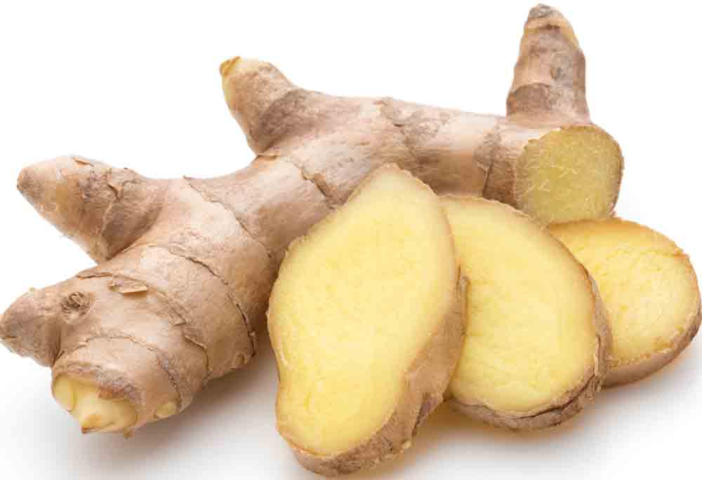 rizoma de jengibre