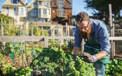 Como suscribirte al Blog de jardinería de Plantamus®