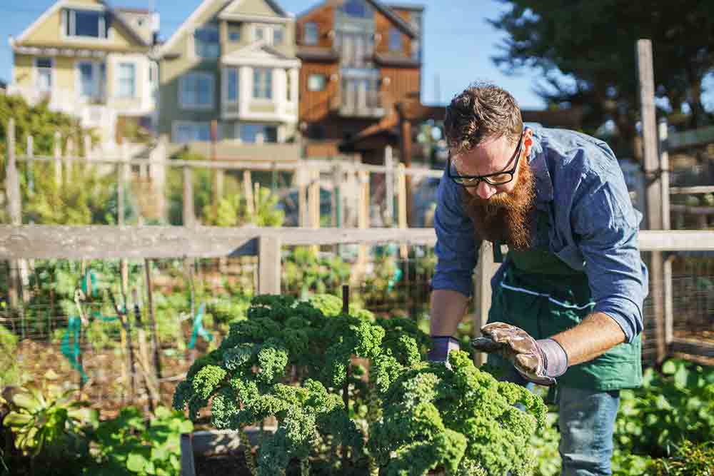 Como suscribirte al Blog de jardinería de Plantamus®