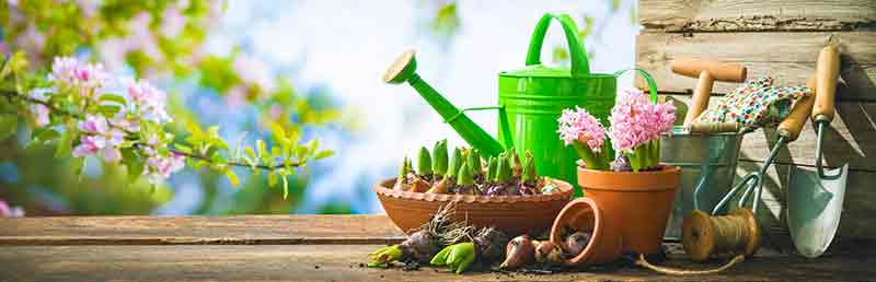huerta y jardin. estiercol en pellets