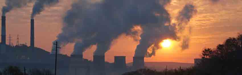 arboles contra contaminacion