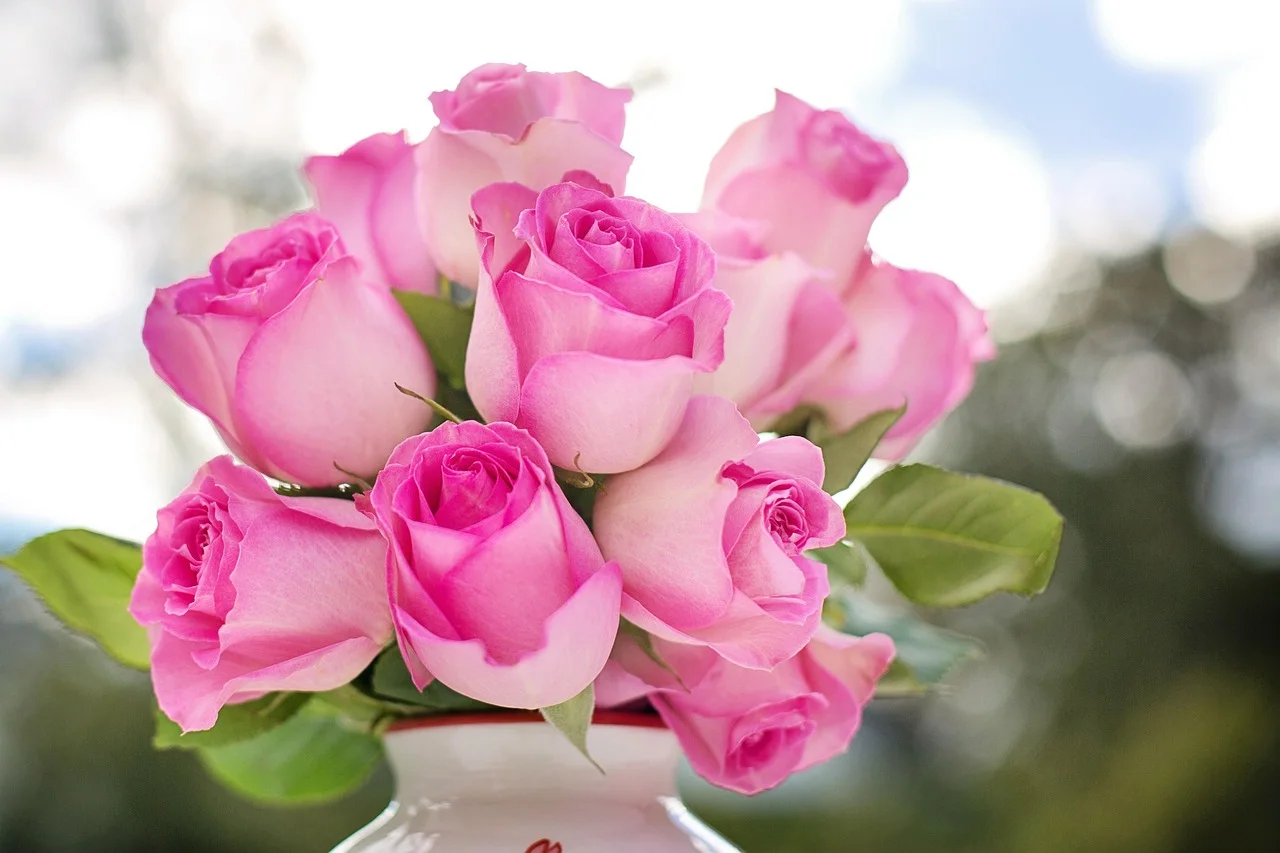 Ramo de rosas rosas frescas, flores ornamentales para regalo y decoración