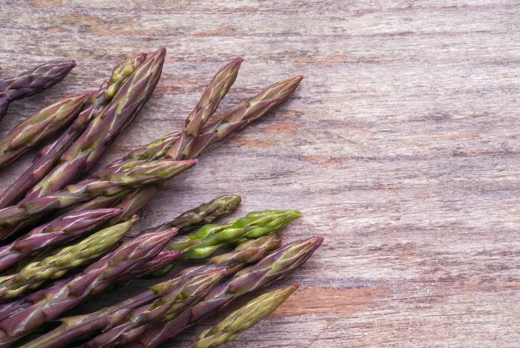 Tallos verdes y espinosos de esparraguera silvestre en su hábitat natural