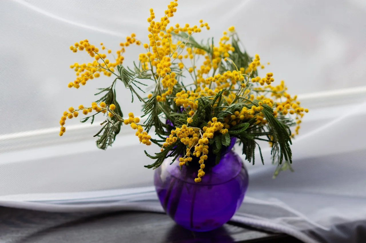 Ramo de mimosa amarilla en un jarrón azul, usado como decoración floral